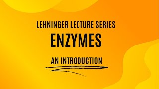 Enzymes An Introduction to Enzymes Lehninger Lecture Series [upl. by Krik240]