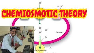 CHEMIOSMOTIC THEORY [upl. by Enorej912]