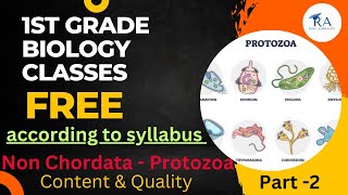 What Are The Classification Of Protozoa Mastigophora ClassFlagellata ampsarcodina Rhizopodaclass [upl. by Acinoed154]