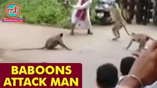 Baboons Attack Man  The Lallantop [upl. by Asilrahc]