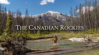 Solo Hiking in the Canadian Rockies Wilderness for 6 Days [upl. by Aicetel]