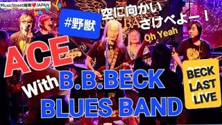 ♥️ ACE with BBBECK BLUES BAND 20241124 藤沢市 Beat BAR BECK BECK LAST LIVE [upl. by Siblee]