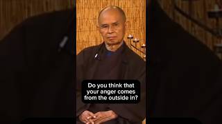 🤬Thich Nhat Hanh What causes anger [upl. by Thomasa485]