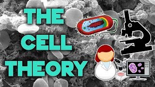 The Cell Theory  Complete Breakdown in 8 Minutes  Bio 101  STEMstream [upl. by Nahn524]