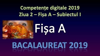 Competente digitale 2019  Ziua 2  Fisa A [upl. by Solana719]