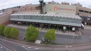 FloraHolland Naaldwijk Westland [upl. by Ilario]