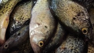 Silver Lake Crappie fishing Cowliz County CatchCleanCook [upl. by Marciano256]