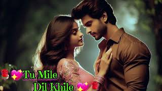 Tum Mile Dil Khile💖🌹❤💞 HD Video Song singing454  Akkineni Nagarjuna Manisha Koirala  Kumar Sanu [upl. by Lou]