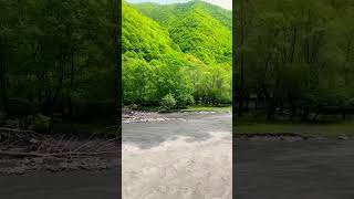 Aragvi river georgia🇬🇪 subscribemychannel travel shorts georgia nature river youtubeshort [upl. by Neelyad252]