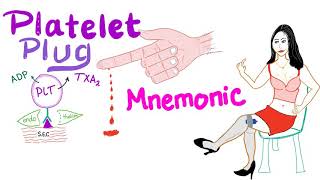 Primary Hemostasis  Platelet Plug amp Blood Clot Mnemonic [upl. by Bekaj]