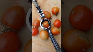 Tomato press 🍅 satisfying asmrsounds tomato press shorts [upl. by Venditti512]