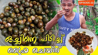 Snail Fry 🐌 Kerala Style  ഒച്ച് ഫ്രൈ കഴിച്ചിട്ടുണ്ടോ  Snail food recipe 😋 [upl. by Abad]