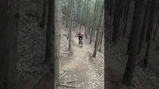 shralp mtb mtblife cornering reels rap pygabikes [upl. by Magnien]