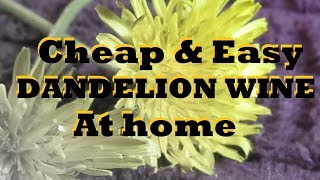 DANDELION WINE  Everything you need to know [upl. by Sheilah485]