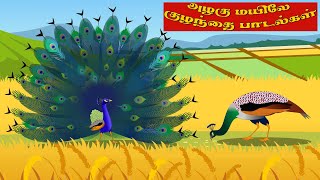 அழகு மயிலே குழந்தை பாடல்கள்  Peacock Tamil rhymes for children  baby songs Tamil  Tamil rhymes [upl. by Sualkcin]