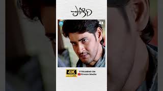 Pokiri 4K Full Movie 🔥Pokiri Pokiri4K MaheshBabu PokiriMovie Telugu TeluguShorts idreamclips [upl. by Goldy]