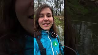 Amphibians having the time of their lives at our flooded forest [upl. by Eicak]