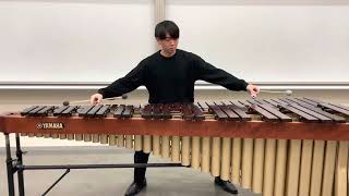 Verano Porteño for solo marimba [upl. by Divadnhoj]