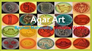 Making Agar Art with Microbes [upl. by Aerda]