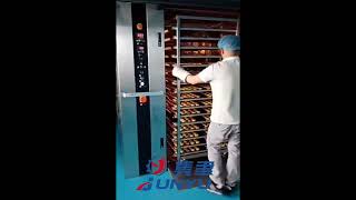 JUNYU semi automatic cake depositing machine and rotrary oven [upl. by Chalmer]