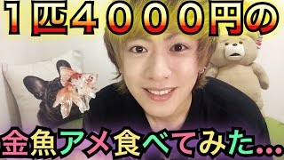 【1匹4000円の金魚アメ】高いしグロいし…食うしかねぇ！！ [upl. by Oyr]