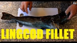 How to Fillet Lingcod using Rapala Eletric Fillet Knife [upl. by Notsla]