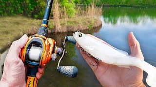 BIG Swimbait ONLY Fishing Tournament Ft 1Rod1ReelFishing [upl. by Ain]