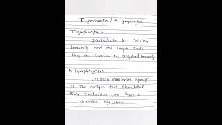 About B lymphocytes biologypharm cell biologymedical  pharm d internship internship [upl. by Inol]