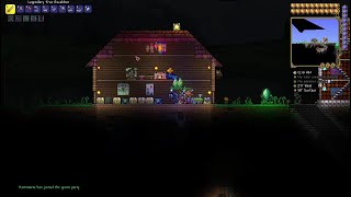 DPS Terraria 21 Et farvel [upl. by Nicholson]