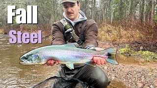 Wild Superior Steelhead on the Fly part 2 [upl. by Sylvester]