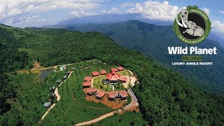 Wild Planet Luxury Jungle Resort Devala Nilgiris  Review by Tech Travel Eat [upl. by Dang]