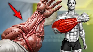 5 Best Exercise to get Forearm Veins Fast [upl. by Tobi263]