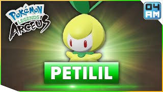 Where To Find PETILIL amp How To Catch It in Pokemon Legends Arceus [upl. by Olds]