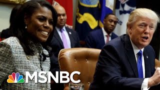 President Trump Calls Omarosa Manigault Dog Crying Lowlife In Tweet  Morning Joe  MSNBC [upl. by Lenej353]