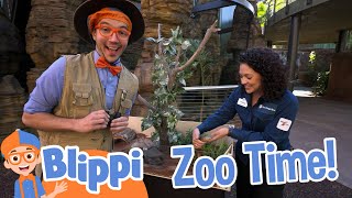 Blippis Awesome San Diego Zoo Adventure  Blippi  Kids Show  Toddler Learning Cartoons [upl. by Airotal]