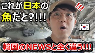 初めての日本の水産市場で韓国人が日本の魚に大喜び！韓国政府はもう信じない！日本の魚を爆買いする韓国人！ [upl. by Oakleil]