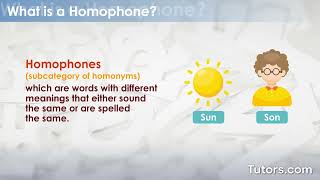 Homophones  Definition Types and Examples [upl. by Asserat]