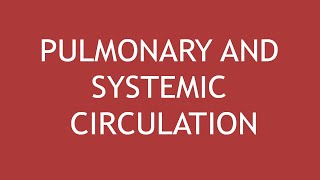 Pulmonary and Systemic Circulation  Dr Shikha Parmar [upl. by Yraunaj]