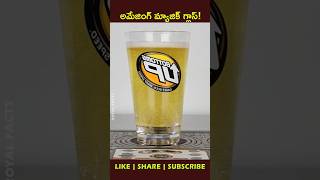 Beers🍻 from the bottom uphow factsintelugu youtubeshorts shortvideo [upl. by Marchall508]