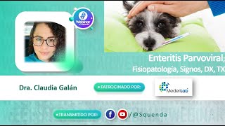 Enteritis Parvoviral Fisiopatología Signos DX TX  Dra Claudia Galán [upl. by Yentterb]