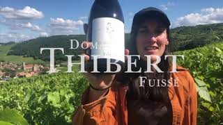 Pouilly Fuissé Vignes Blanches Domaine Thibert [upl. by Aloin341]