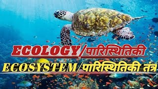 EcologyEcosystemपारिस्थितिकीपारिस्थितिकी तंत्र [upl. by Eveam]