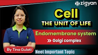 Golgi body  Golgi complex  Golgi apparatus  Endomembrane system  NEET  Dictyosome [upl. by Drahcir]