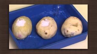 Potato experiment  Osmosis  Biology [upl. by Uwton]