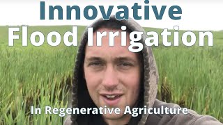 Innovative Flood Irrigation In Regenerative Agriculture [upl. by Ahsinek959]