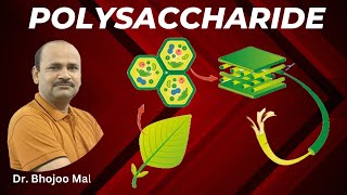 Polysaccharide  Carbohydrate  Class 11 Biology  by Dr Bhojoo Mal [upl. by Llewen584]