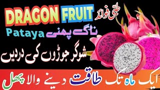 DRAGON fruit pitaya ناگ پھنی cactus grandiflorus [upl. by Galvan]