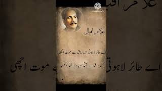 Allama Iqbal poetry allamaiqbalshayariinhindi allamaiqbalshayari urdupoetrypoetrylovers quotes [upl. by Nolahs]