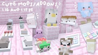 Cutest and Aesthetic ModsAddons  bedrock and pocket edition 117 [upl. by Nairahcaz]