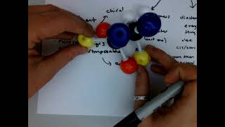 Review of chirality meso compounds chapter 5 practice problems [upl. by Eahsed79]